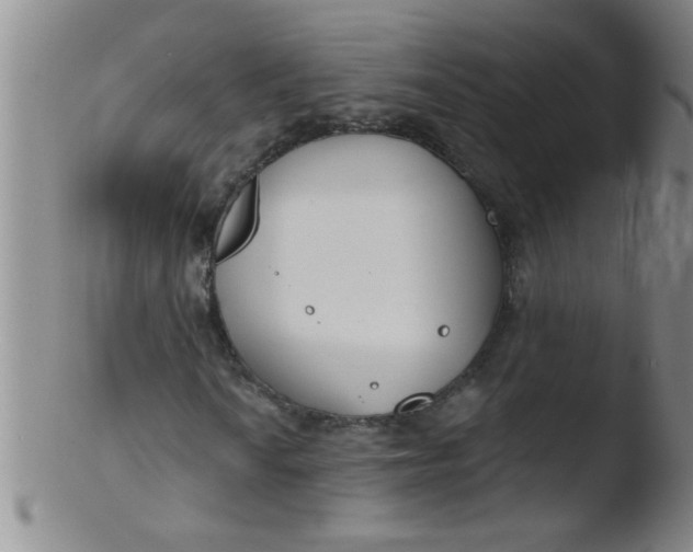 X0000103491010200809261945