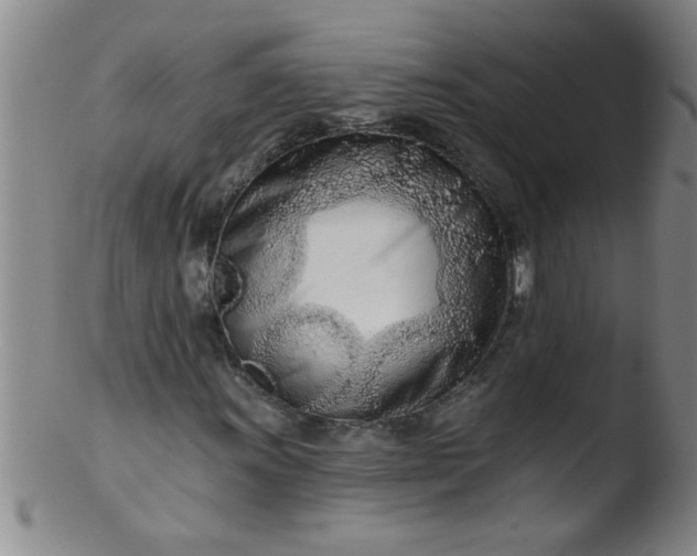 X0000103491011200809261945