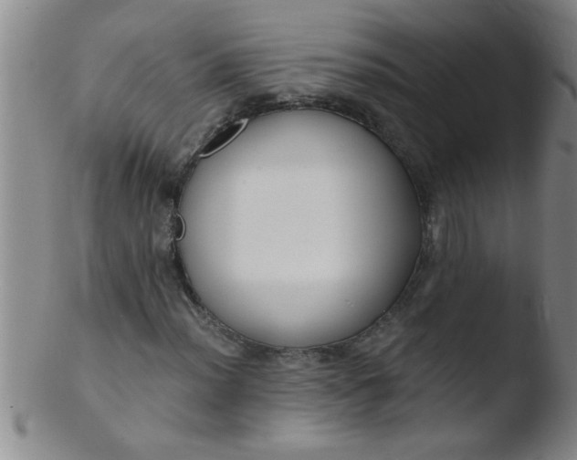 X0000103491012200809261945