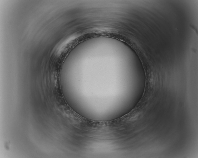 X0000103491016200809261946