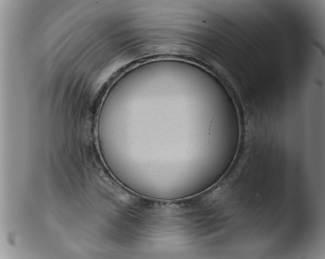 X0000103491019200809261946