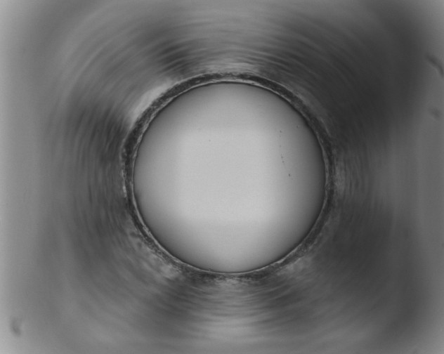 X0000103491022200809261946