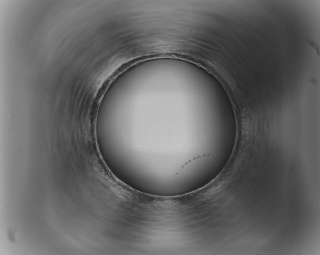 X0000103491023200809261946