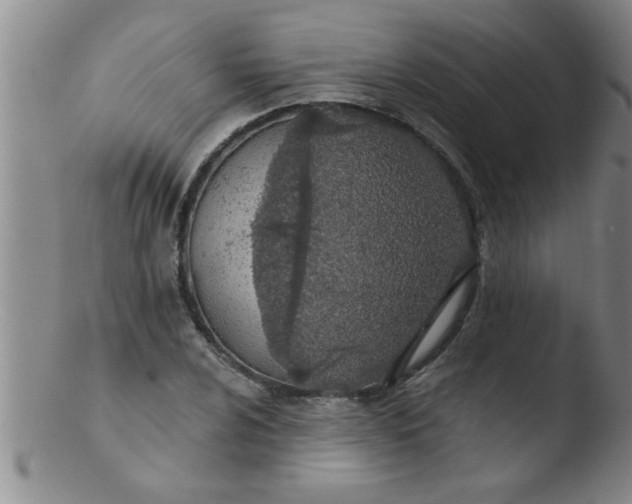 X0000103491024200809261946