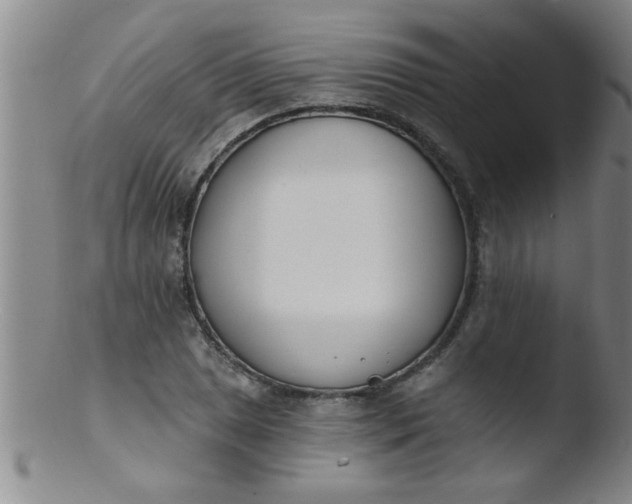 X0000103491025200809261946