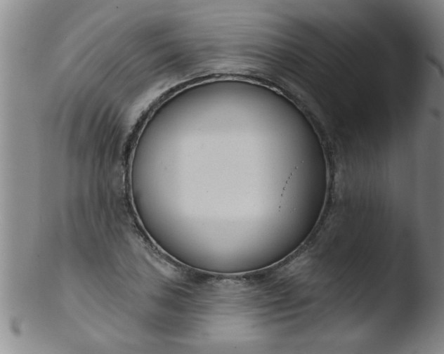 X0000103491027200809261946