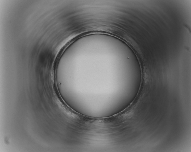 X0000103491028200809261946