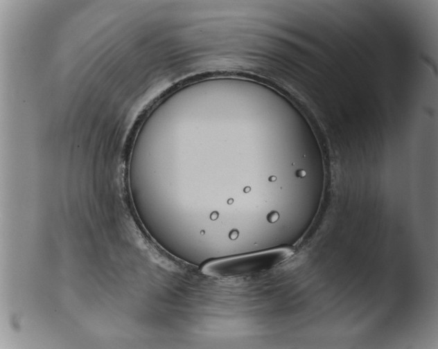 X0000103491029200809261946