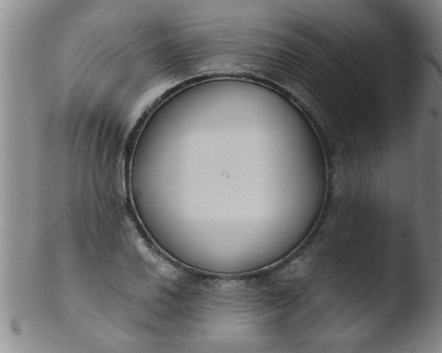 X0000103491030200809261946