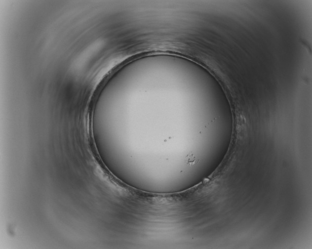 X0000103491032200809261946