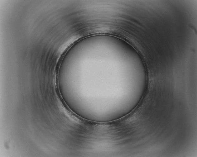 X0000103491034200809261946