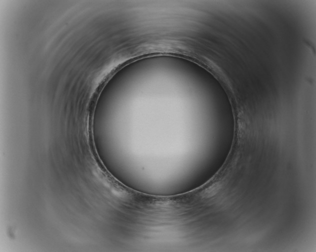 X0000103491035200809261946