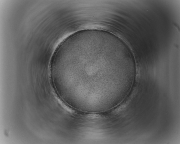 X0000103491037200809261946