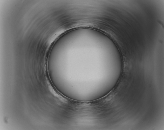 X0000103491038200809261946