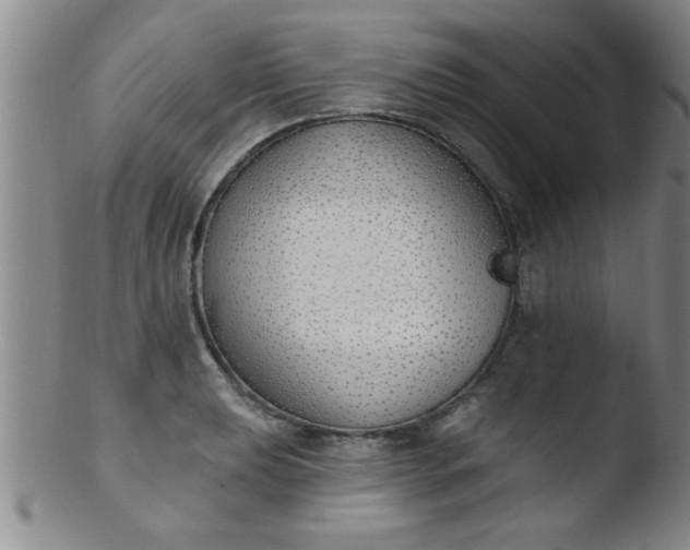 X0000103491039200809261946