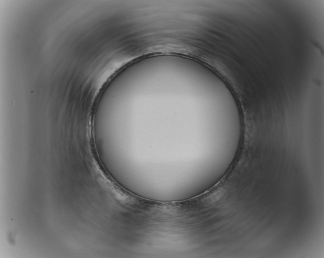 X0000103491040200809261946