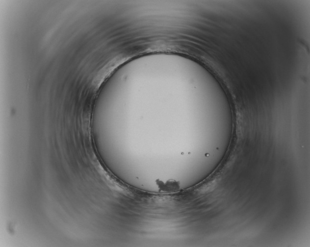 X0000103491041200809261946