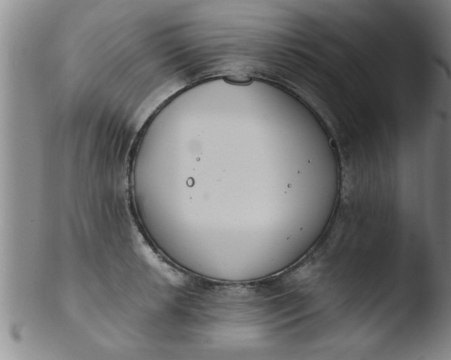 X0000103491042200809261946