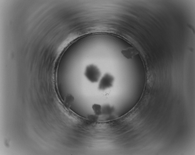 X0000103491043200809261946