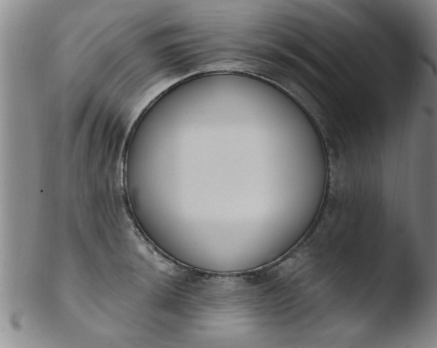 X0000103491044200809261946