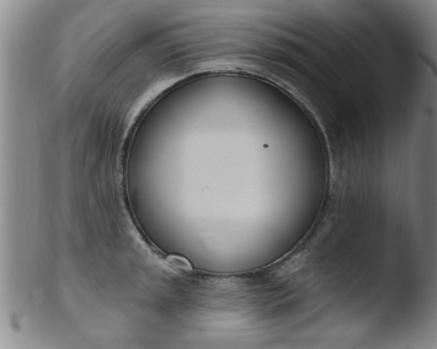 X0000103491045200809261946