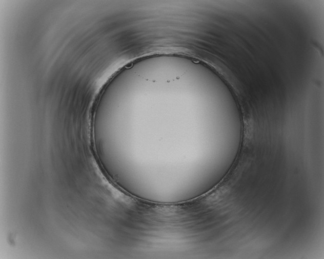 X0000103491046200809261946