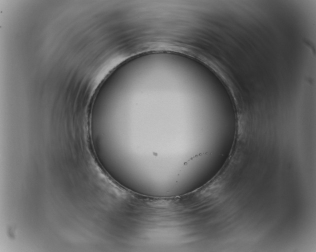 X0000103491048200809261946