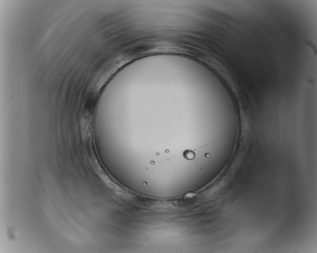 X0000103491049200809261946