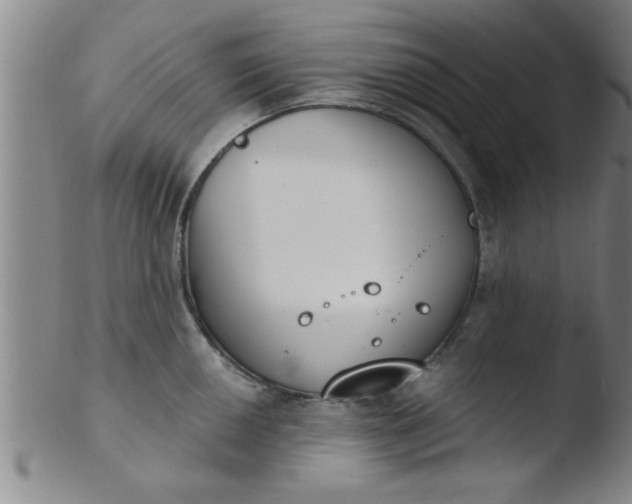 X0000103491050200809261946