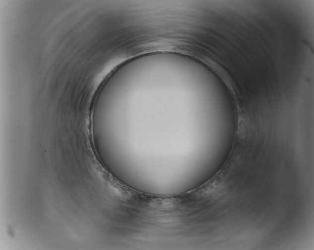 X0000103491051200809261946