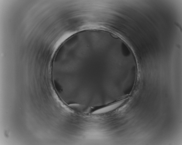 X0000103491053200809261946