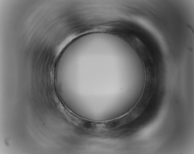 X0000103491054200809261946