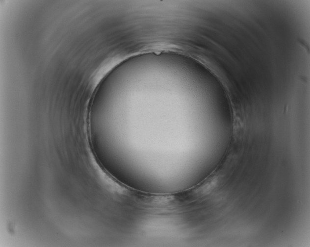 X0000103491055200809261946