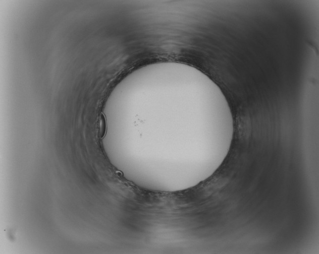 X0000103491057200809261945