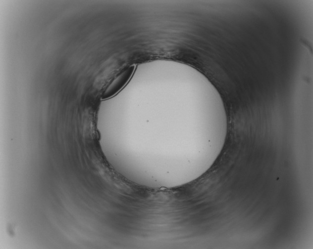 X0000103491058200809261945