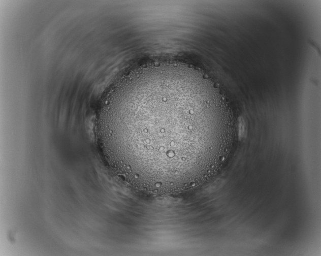 X0000103491059200809261945