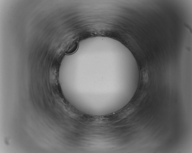 X0000103491060200809261945