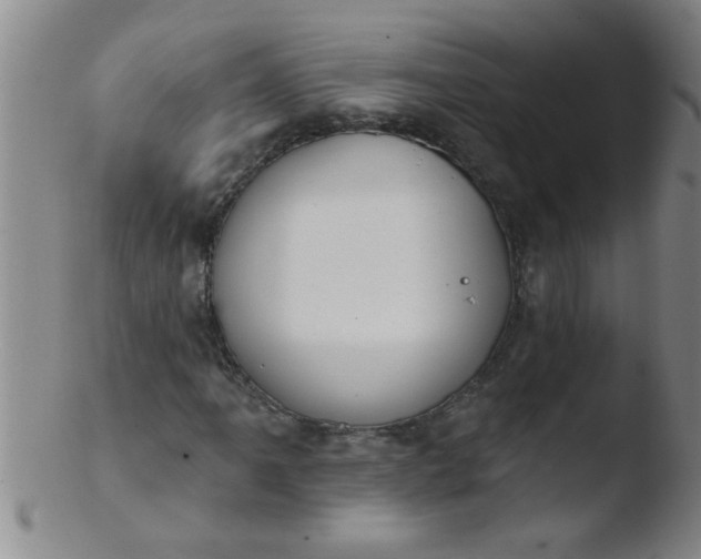 X0000103491061200809261945