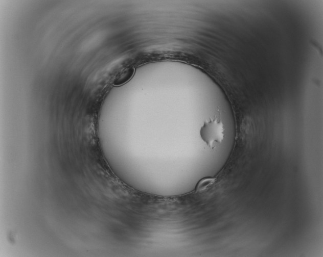 X0000103491062200809261945