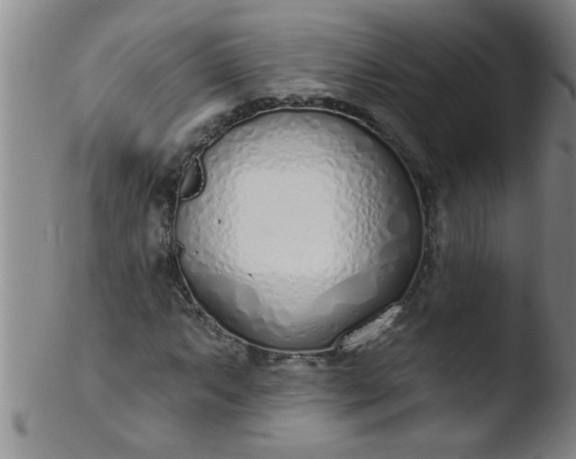 X0000103491063200809261945