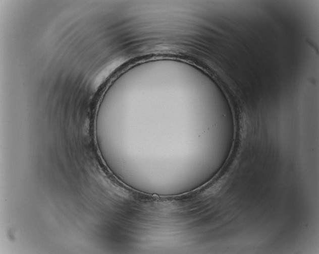 X0000103491066200809261945