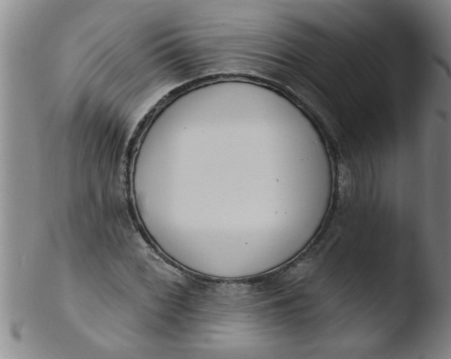 X0000103491068200809261945