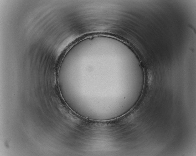 X0000103491069200809261945