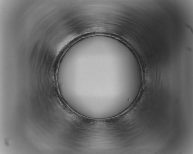 X0000103491070200809261945