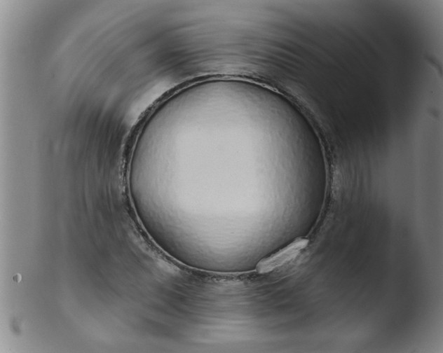 X0000103491071200809261945