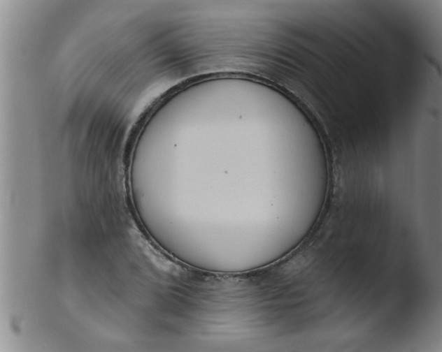 X0000103491072200809261945