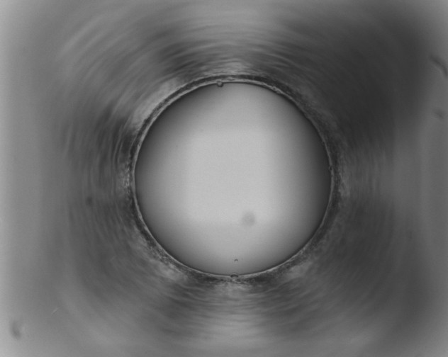 X0000103491073200809261945