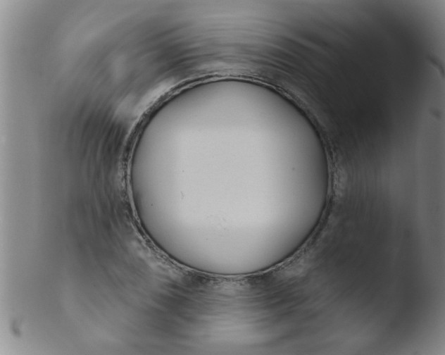 X0000103491074200809261945