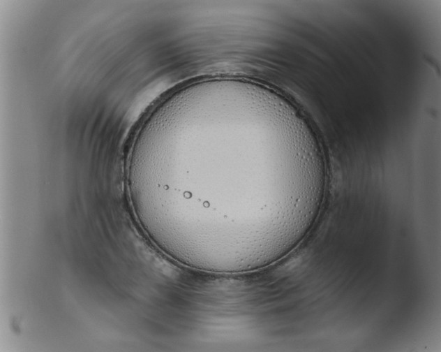 X0000103491075200809261945