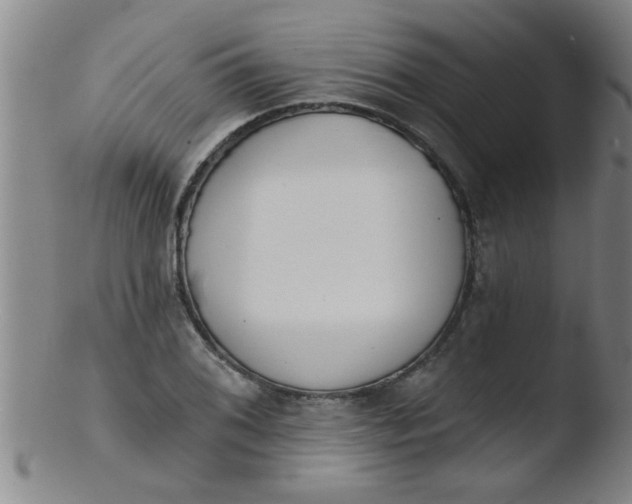 X0000103491076200809261945